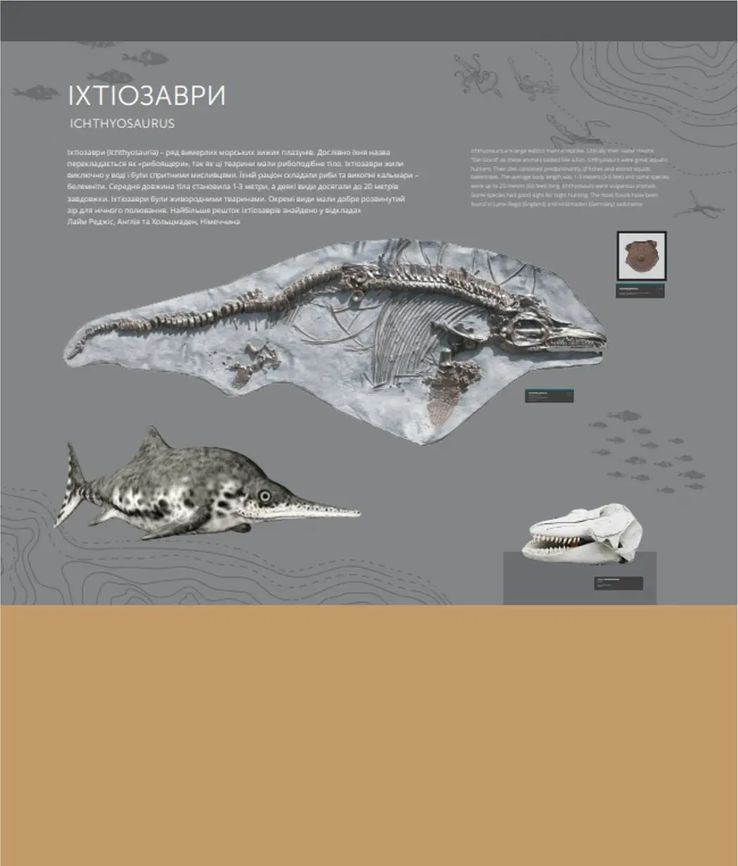 03_ichthyosaurus_1.webp